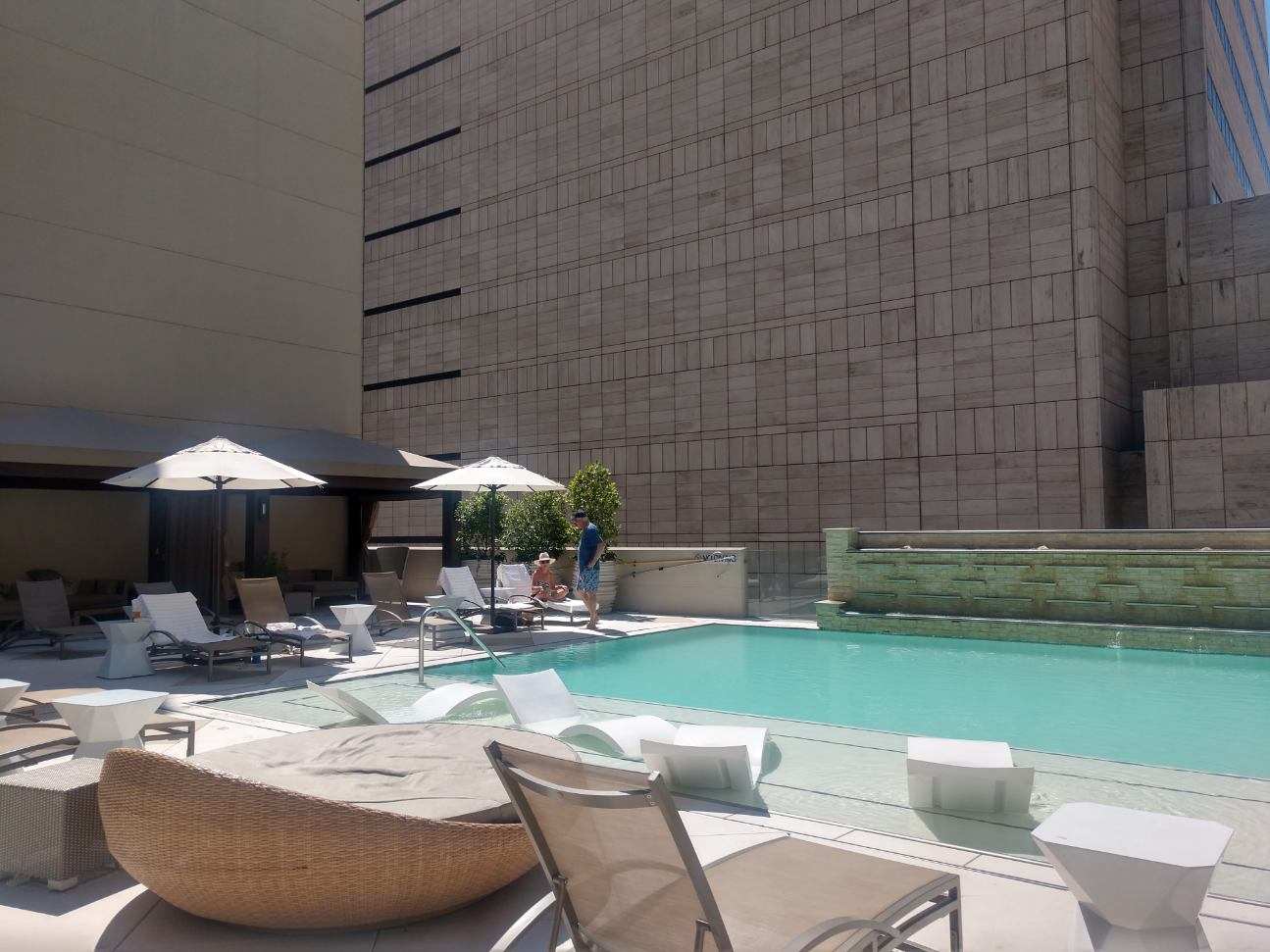 The Adolphus, Autograph Collection, dog-friendly hotel, photo 4