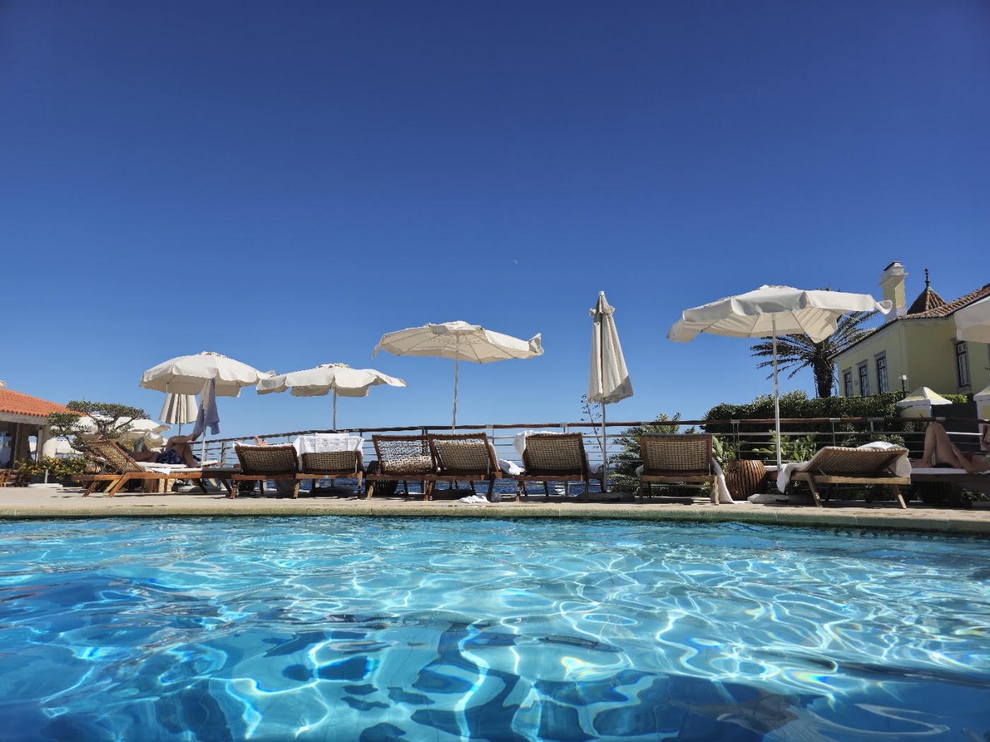 The Albatroz Hotel, dog-friendly hotel, photo 4