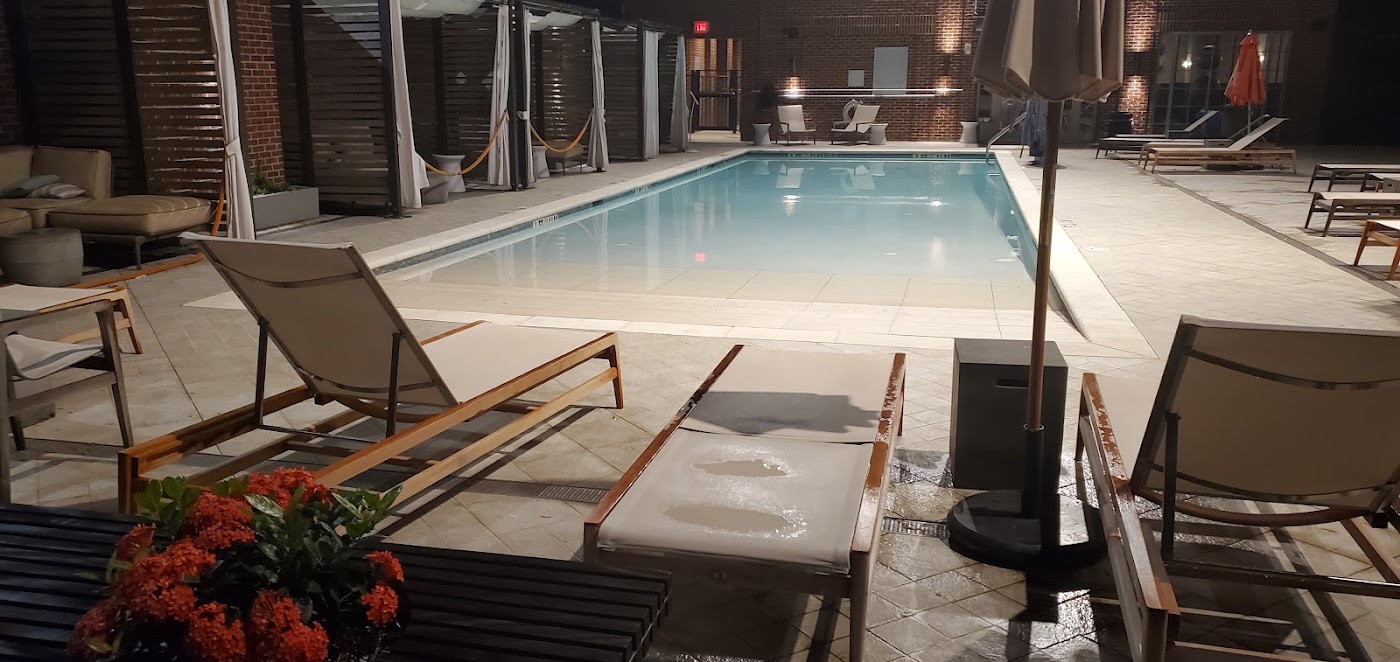 The Alida, Savannah, a Tribute Portfolio Hotel, dog-friendly hotel, photo 3