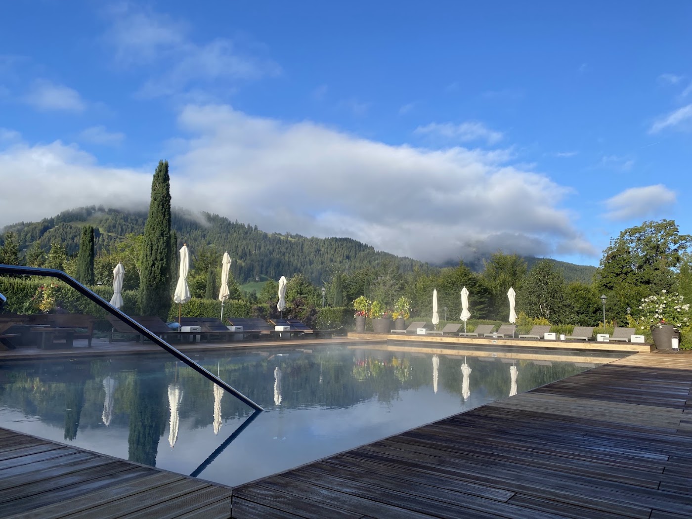 The Alpina Gstaad, dog-friendly hotel, photo 4