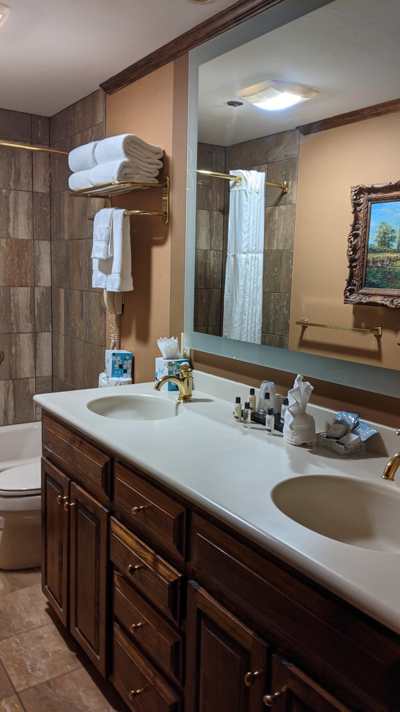 The Ansonborough, dog-friendly hotel, photo 3