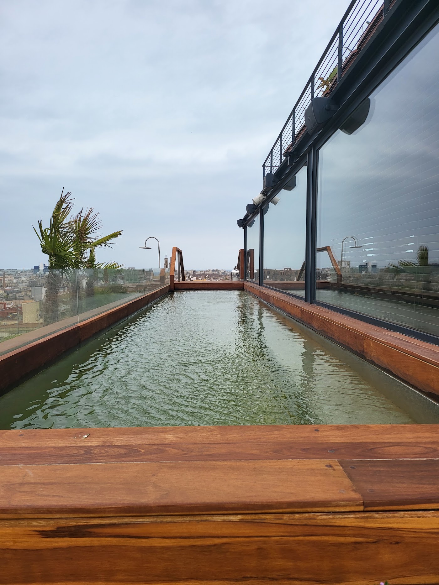The Barcelona EDITION, dog-friendly hotel, photo 4