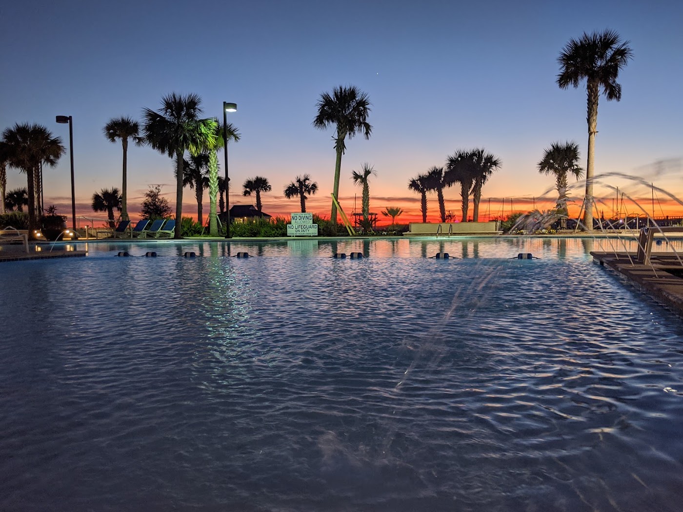 The Beach Club at Charleston Harbor Resort & Marina, dog-friendly hotel, photo 2