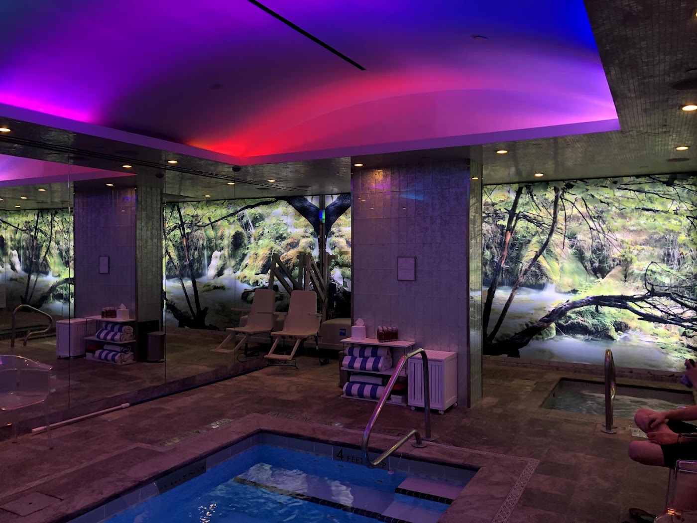 The Chatwal New York, dog-friendly hotel, photo 4