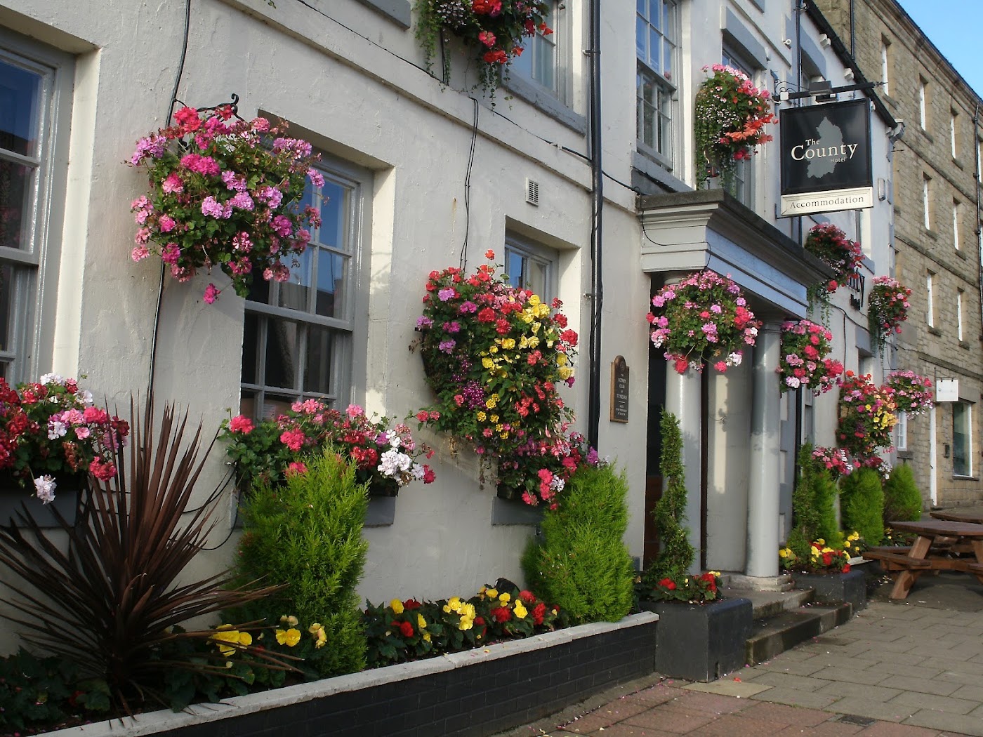 The County Hotel, dog-friendly hotel, photo 2