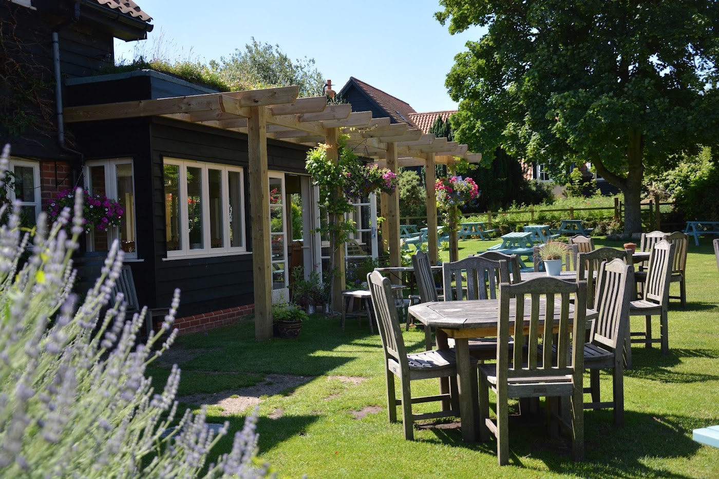The Dolphin Inn, dog-friendly hotel, photo 2