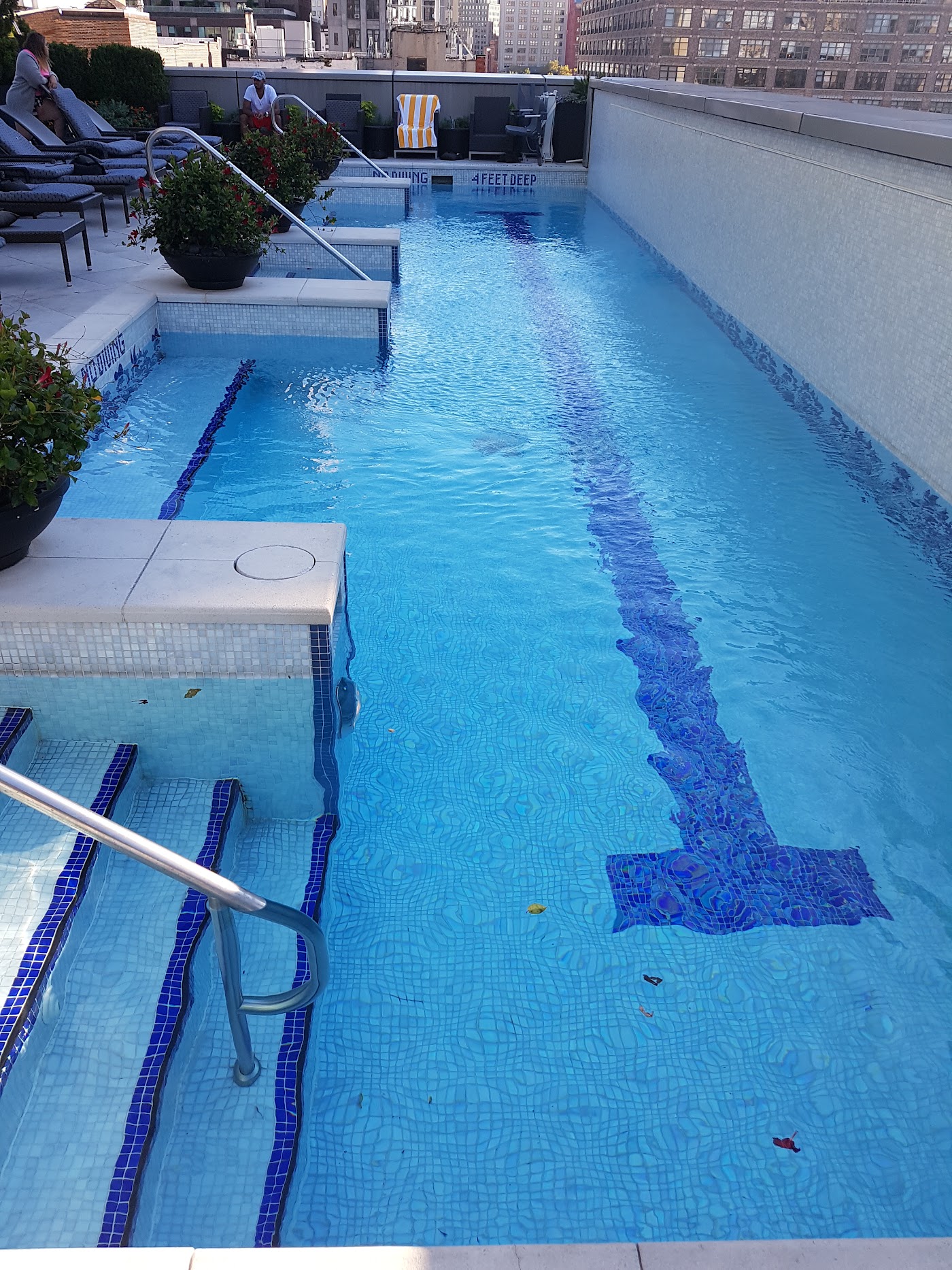 The Dominick, dog-friendly hotel, photo 4