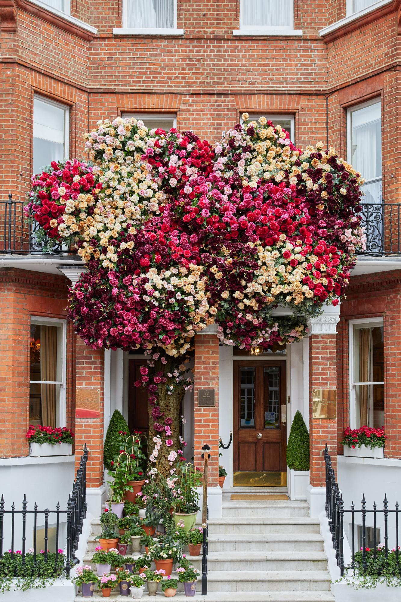 The Egerton House Hotel, dog-friendly hotel, photo 2