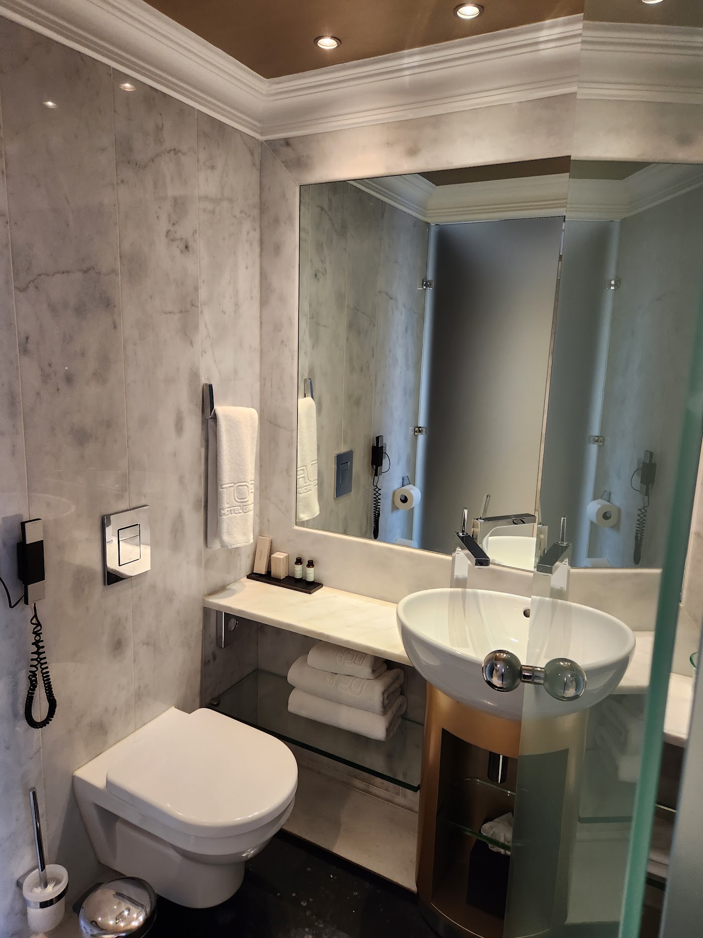 The Excelsior, dog-friendly hotel, photo 4