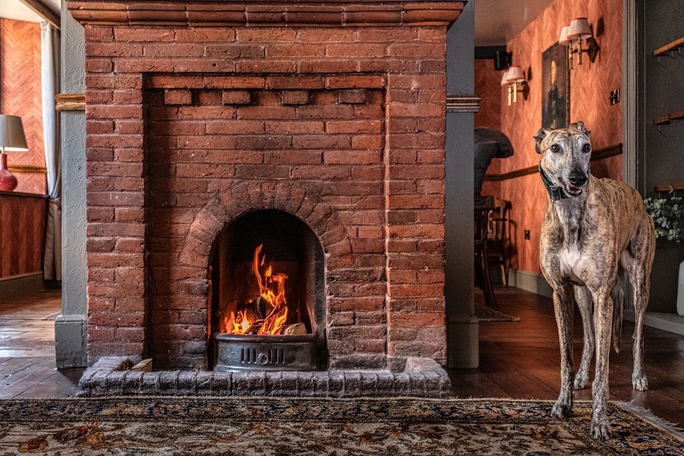 The Feathers, dog-friendly hotel, photo 2