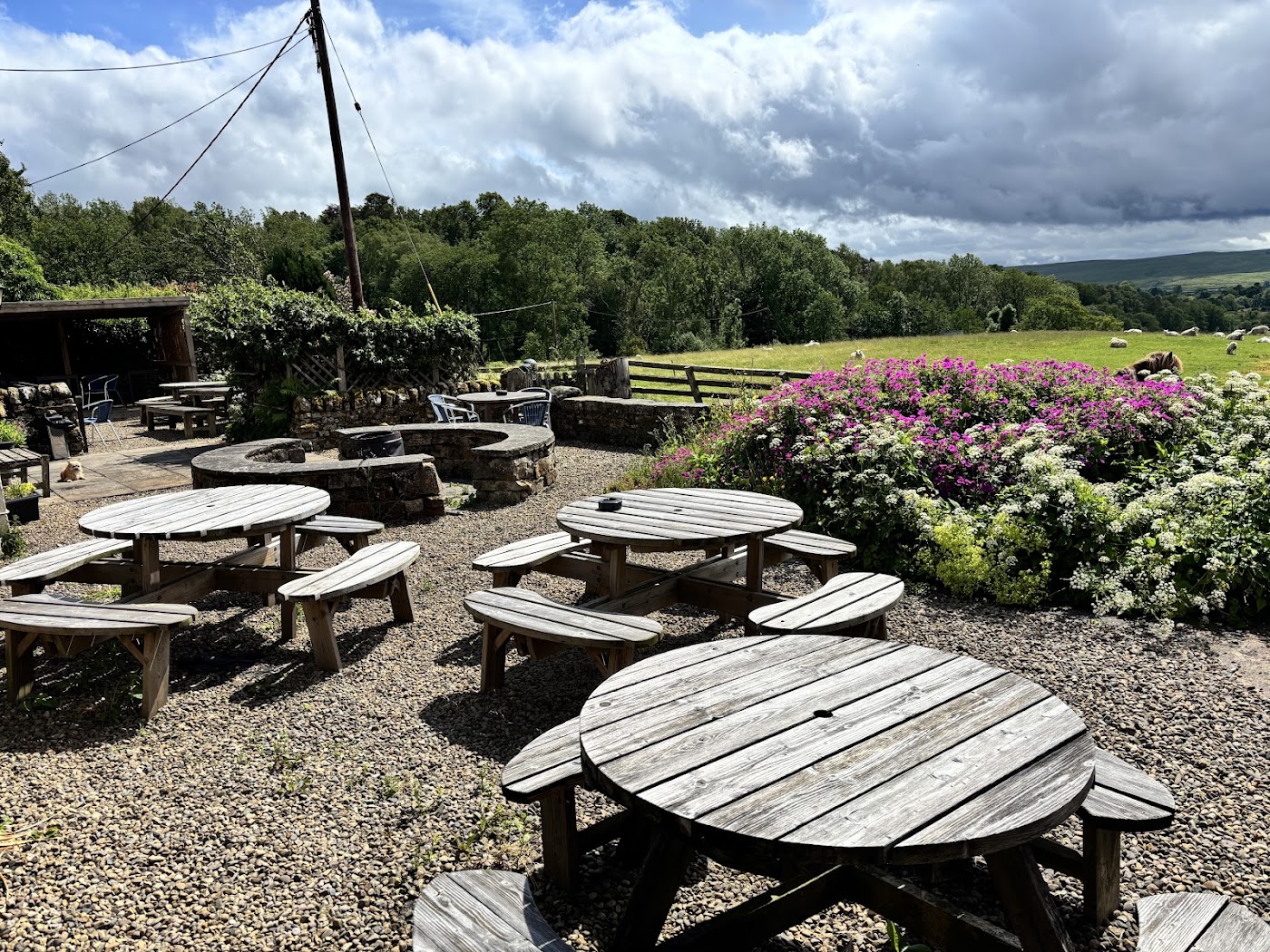 The Holly Bush Inn, dog-friendly hotel, photo 2