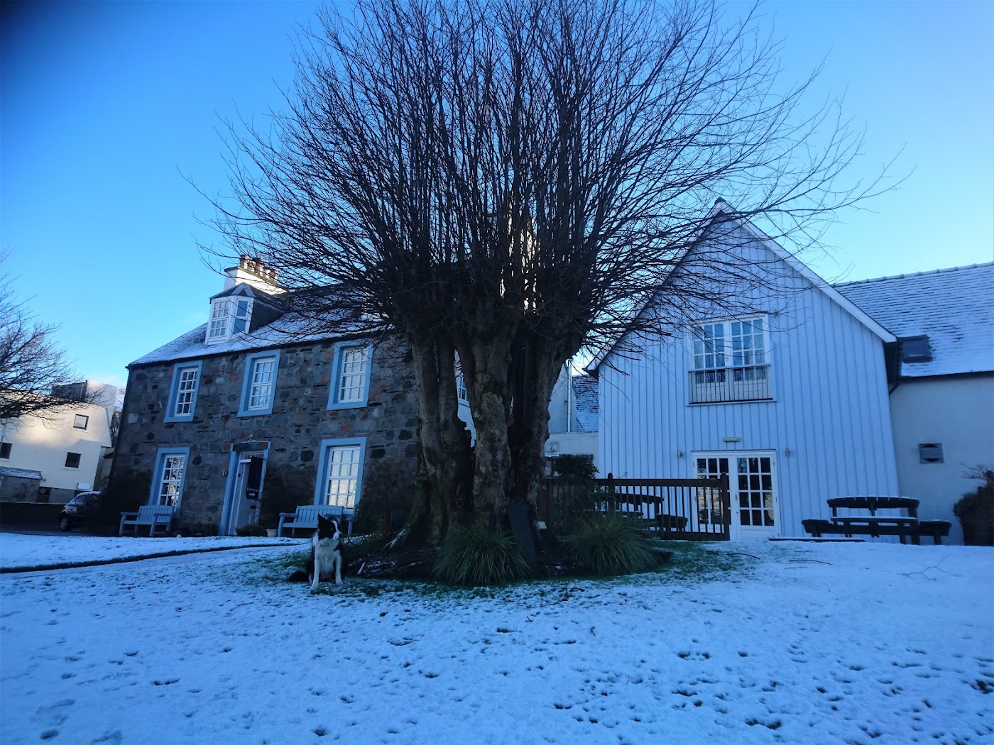 The Lime Tree, dog-friendly hotel, photo 5