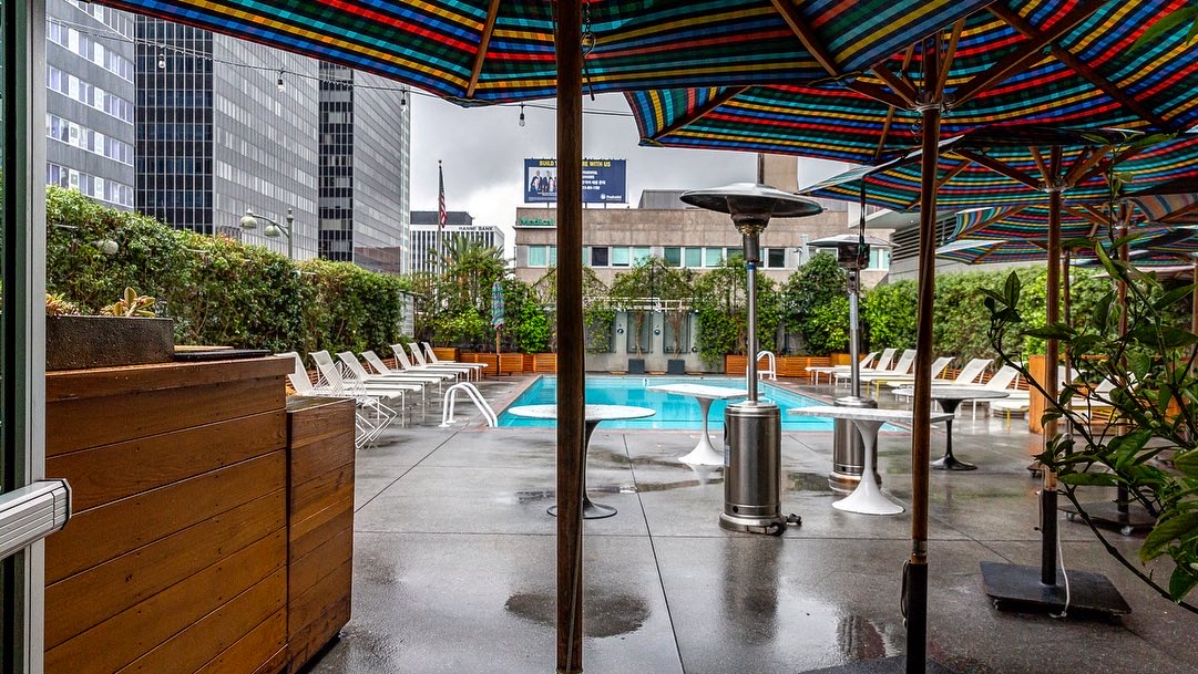 The LINE Hotel LA, dog-friendly hotel, photo 4