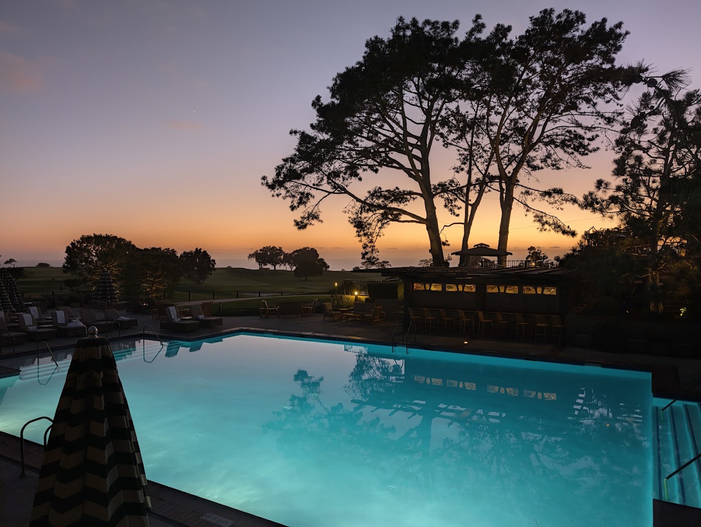 The Lodge at Torrey Pines, dog-friendly hotel, photo 4