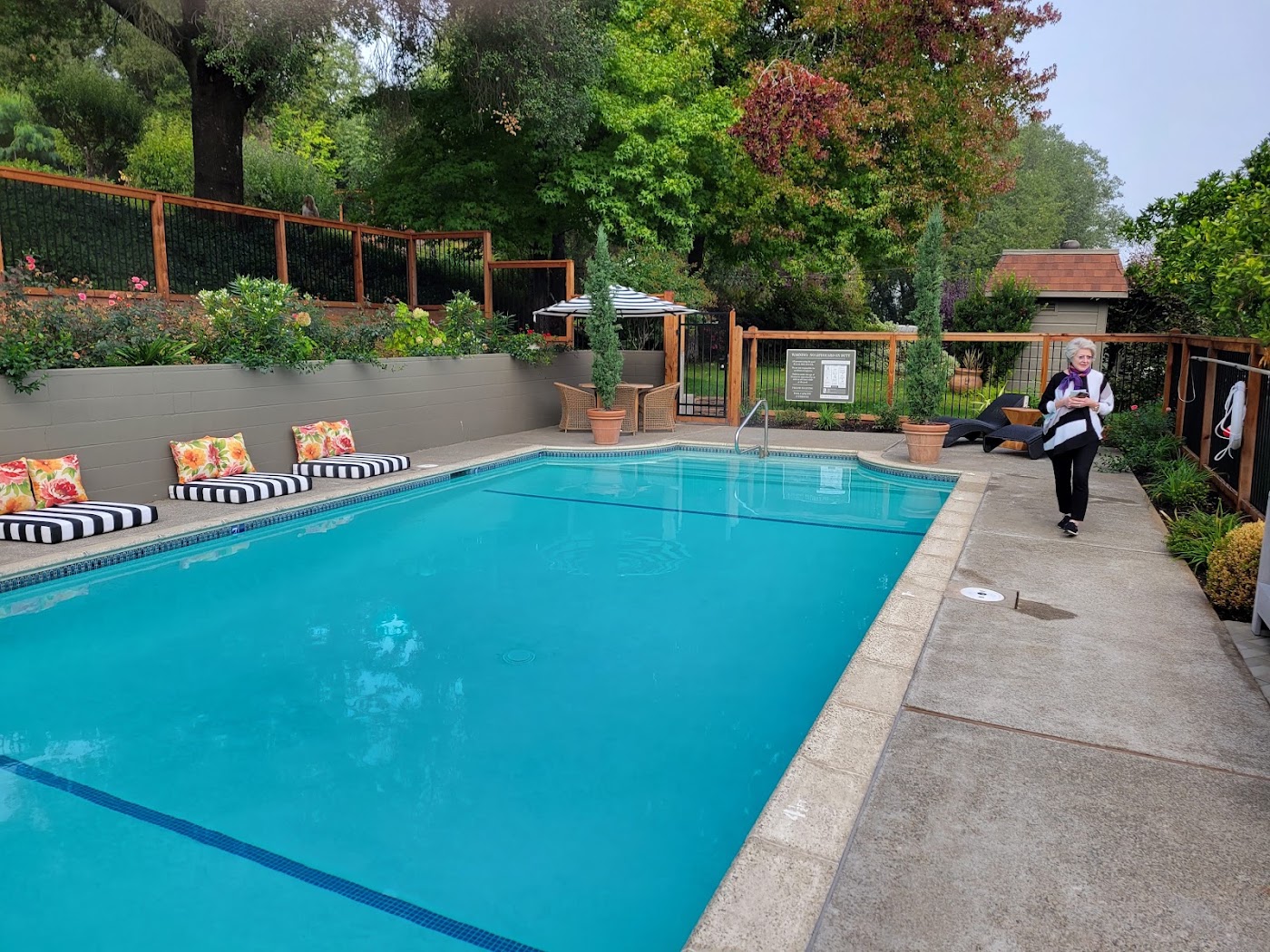 The Madrona, dog-friendly hotel, photo 3