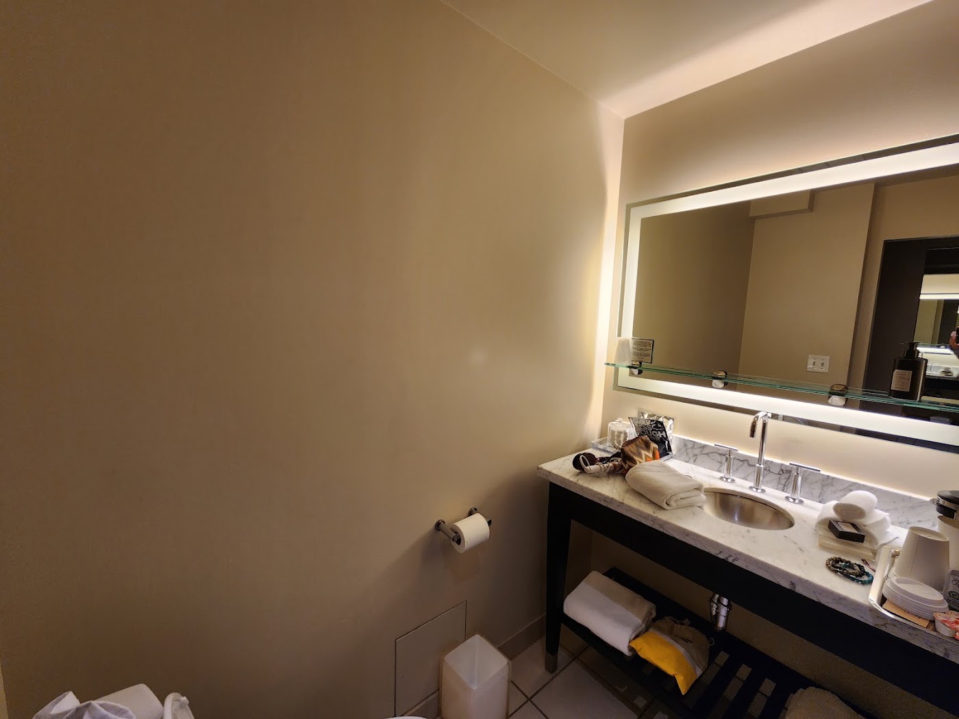 The Midland Hotel Chicago, dog-friendly hotel, photo 4