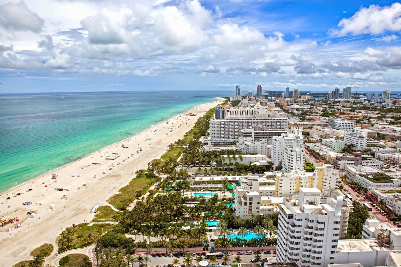 The Setai Miami Beach, dog-friendly hotel, photo 2