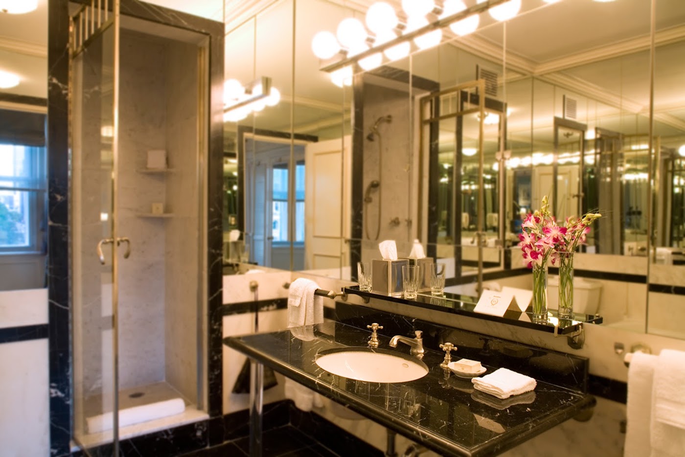 The Sherry-Netherland, dog-friendly hotel, photo 4
