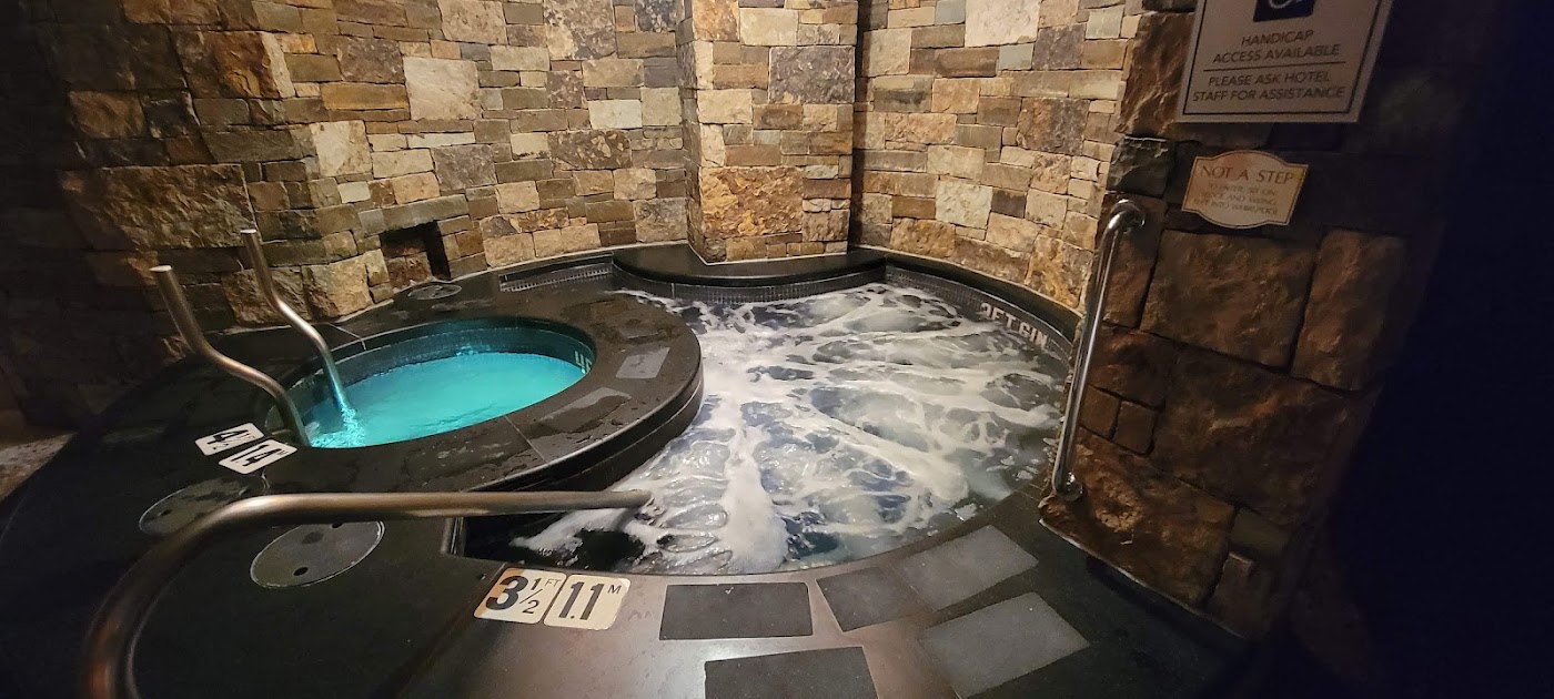 The St. Regis Aspen Resort, dog-friendly hotel, photo 3