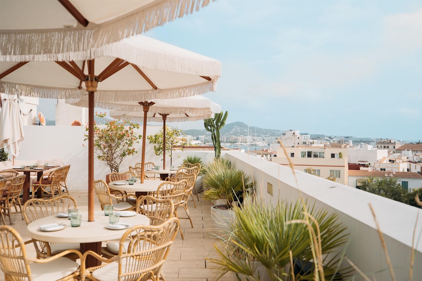 The Standard, Ibiza, dog-friendly hotel, photo 2