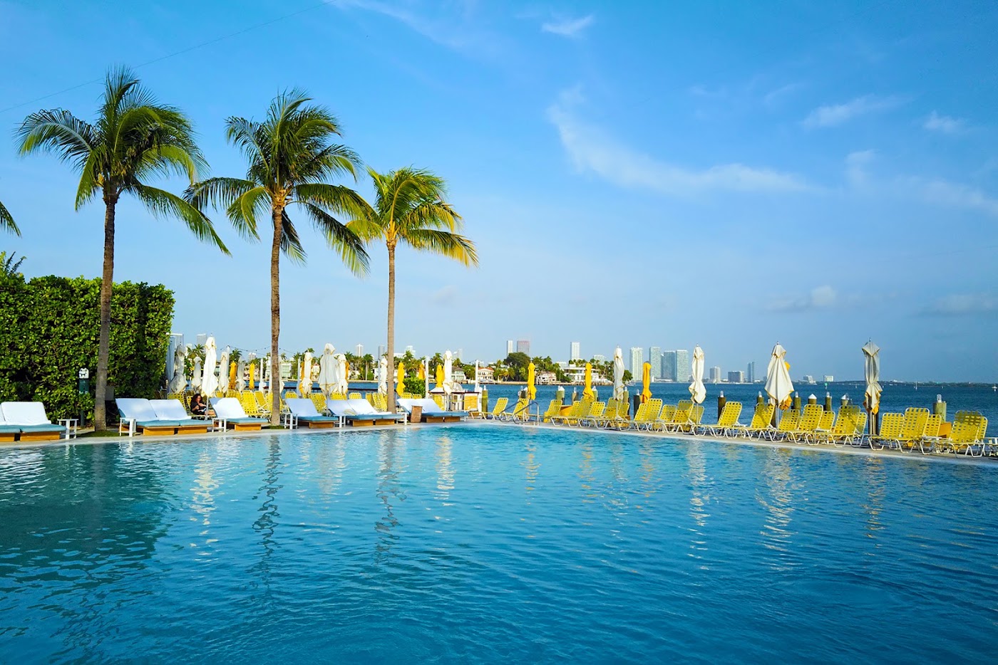 The Standard Spa Miami Beach, dog-friendly hotel, photo 4