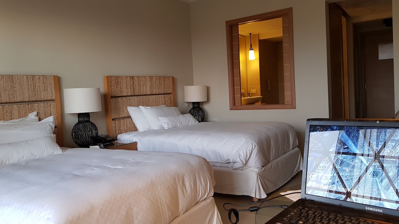 The Westin Resort, Costa Navarino, dog-friendly hotel, photo 3