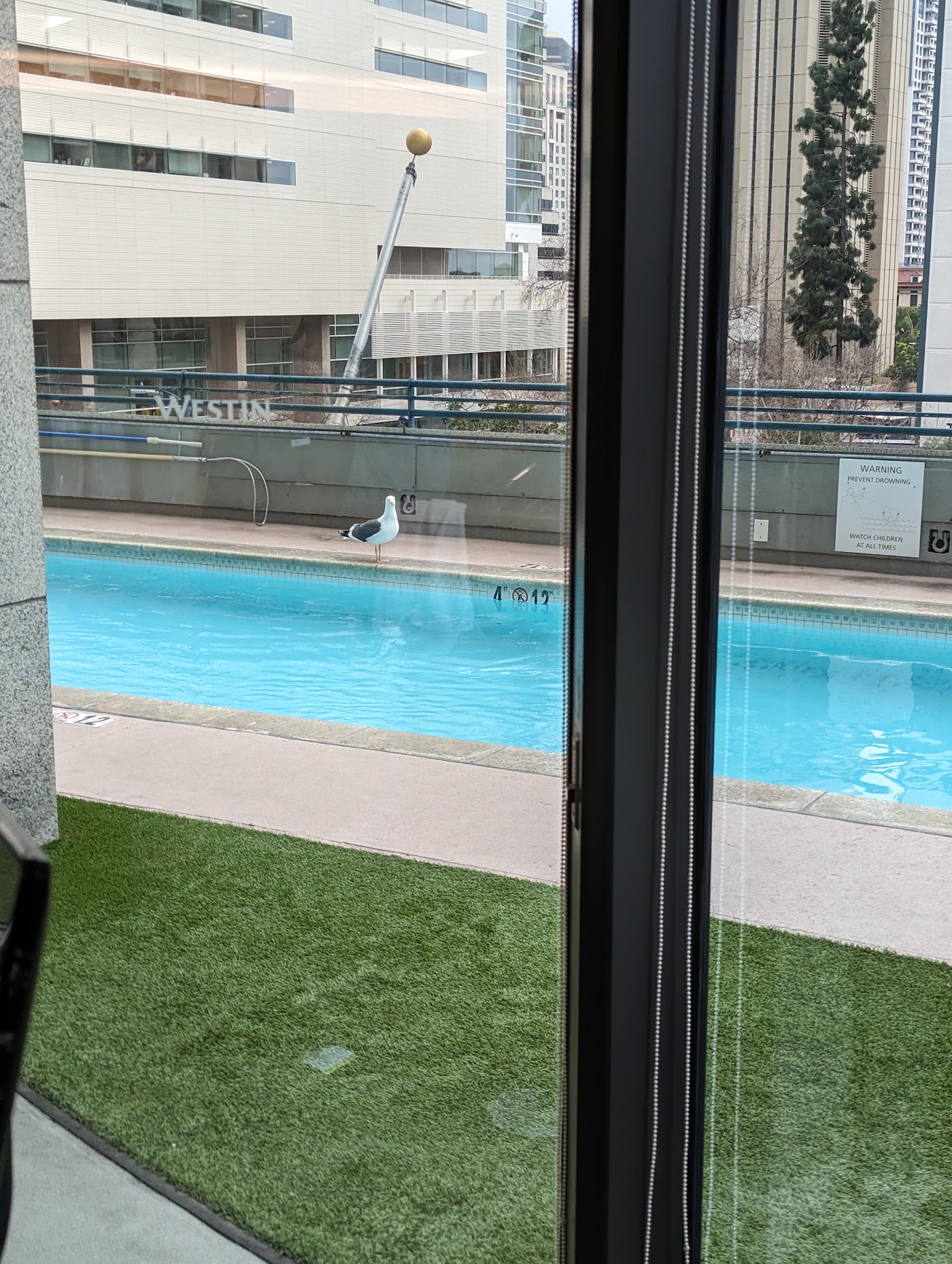 The Westin San Diego Bayview, dog-friendly hotel, photo 3