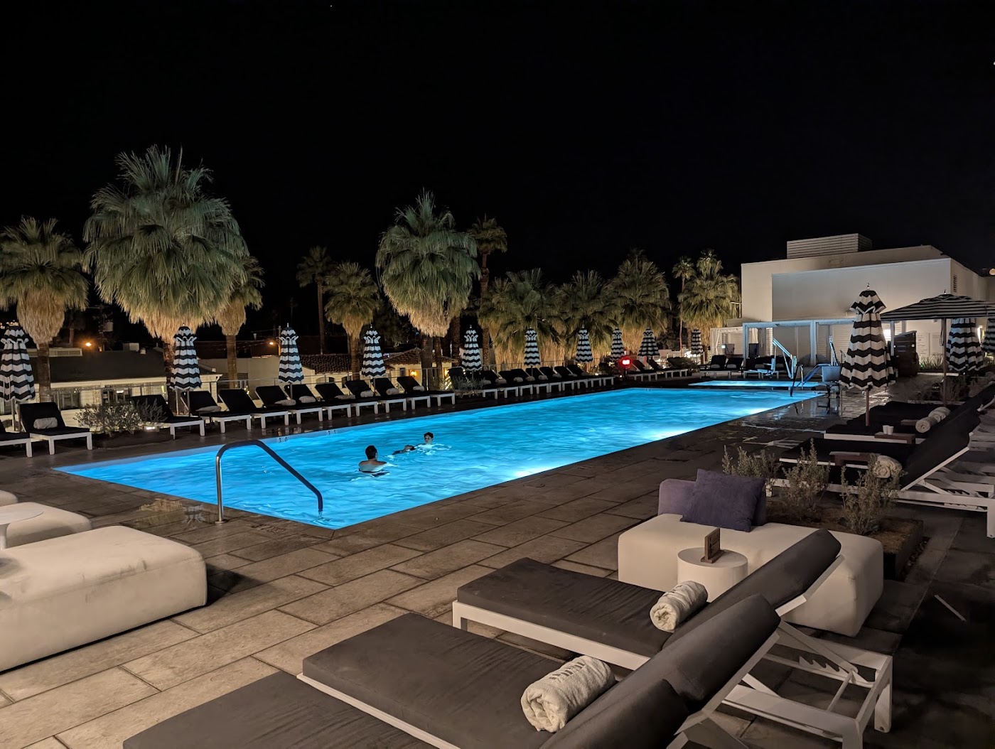Thompson Palm Springs, by Hyatt, dog-friendly hotel, photo 4