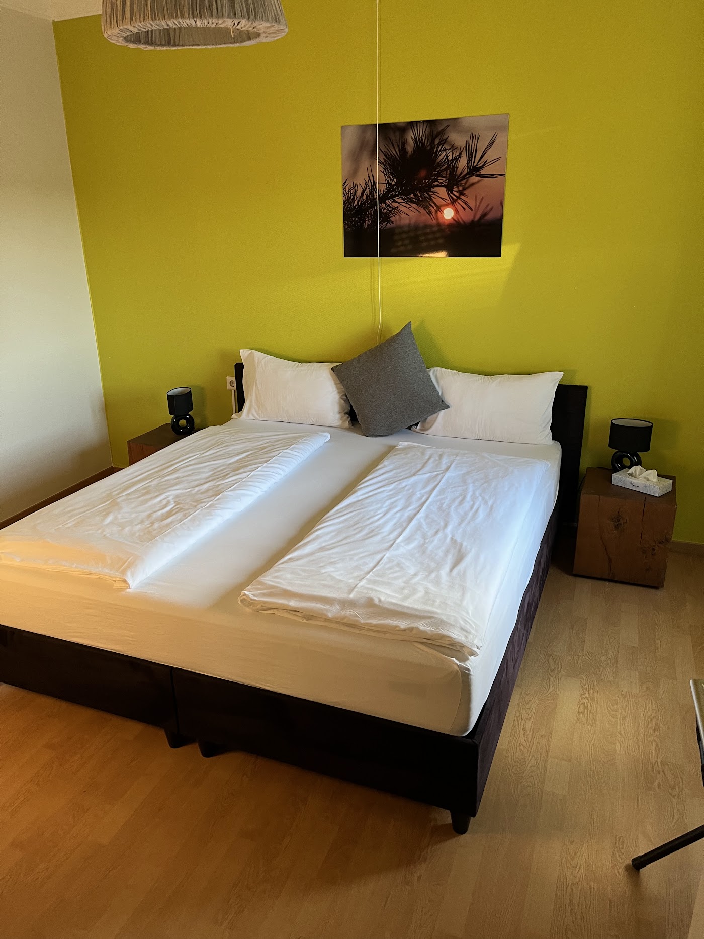 Trail-Inn Natur & Sporthotel, dog-friendly hotel, photo 4