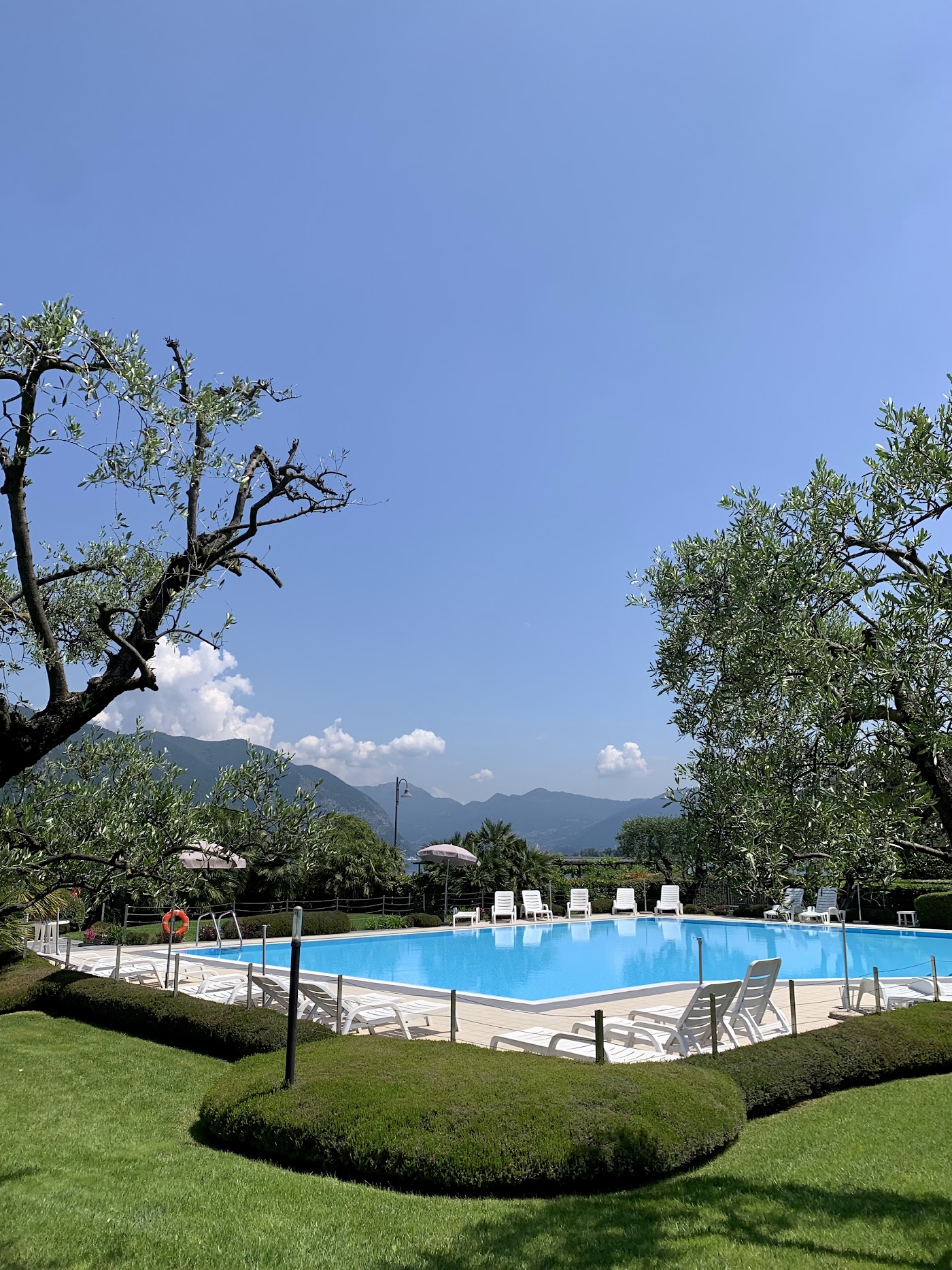 Ulivi Hotel & Residence, dog-friendly hotel, photo 5