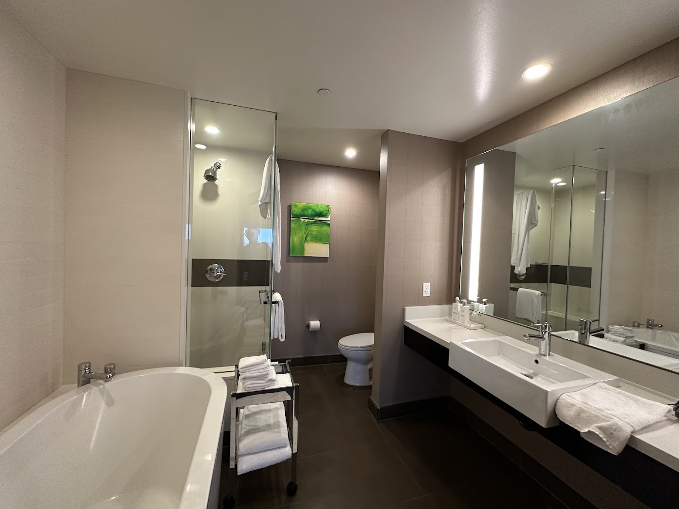 Vdara Hotel & Spa at ARIA Las Vegas, dog-friendly hotel, photo 5