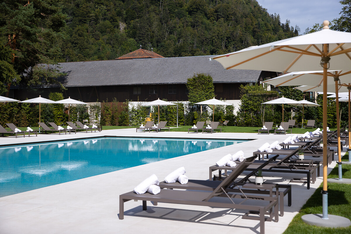 Victoria-Jungfrau Grand Hotel & Spa, dog-friendly hotel, photo 4