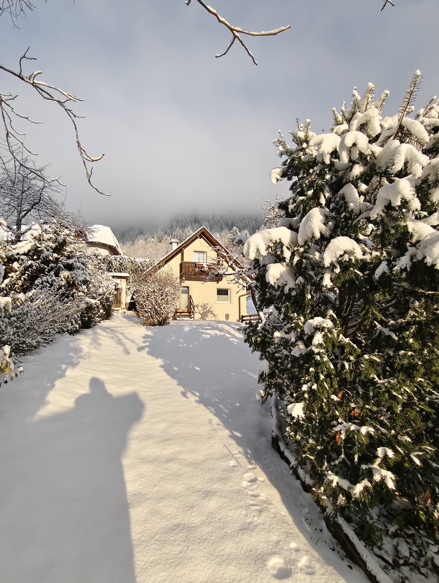 Villa Marienhof, dog-friendly hotel, photo 4