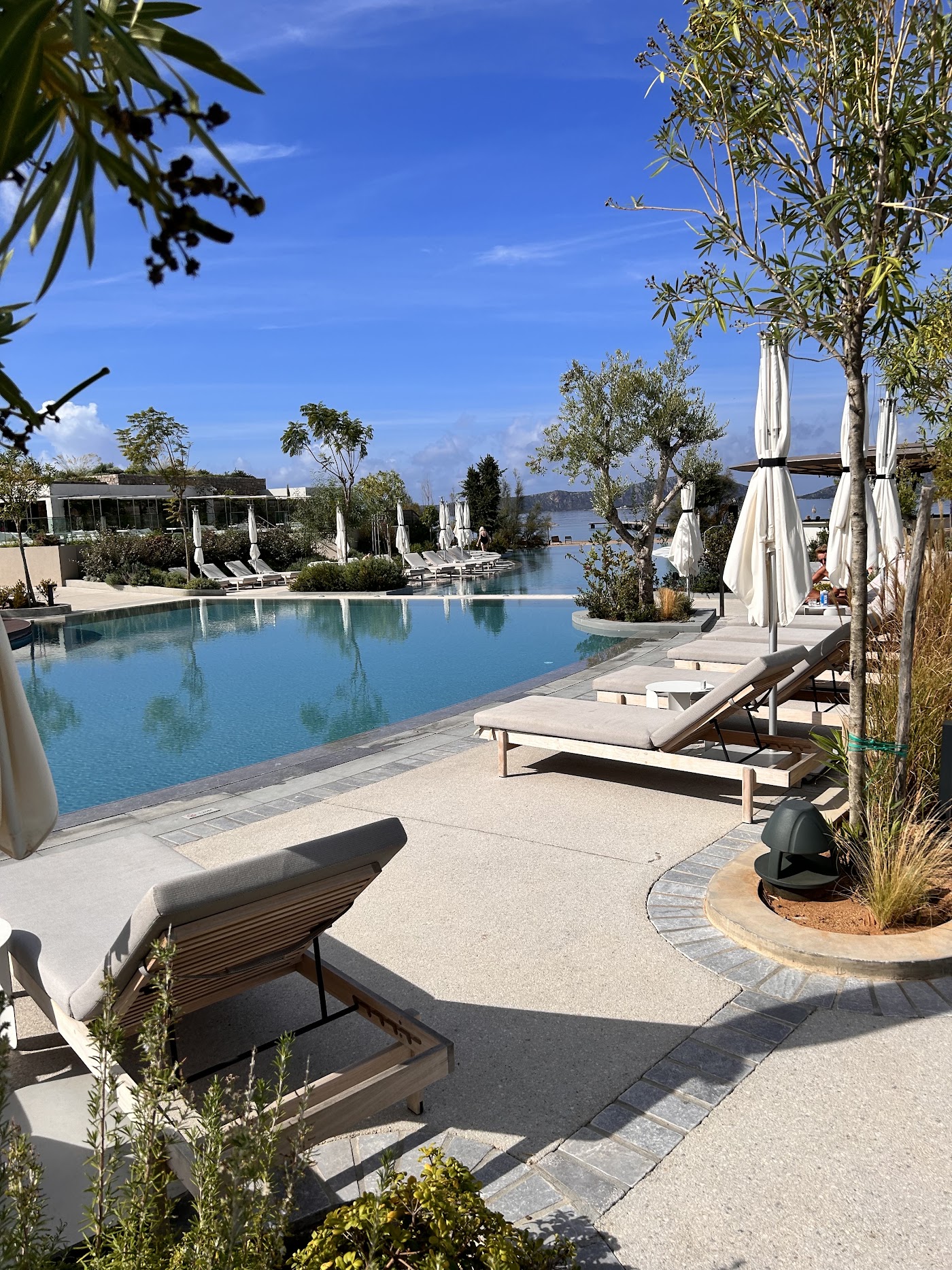 W Costa Navarino, dog-friendly hotel, photo 4