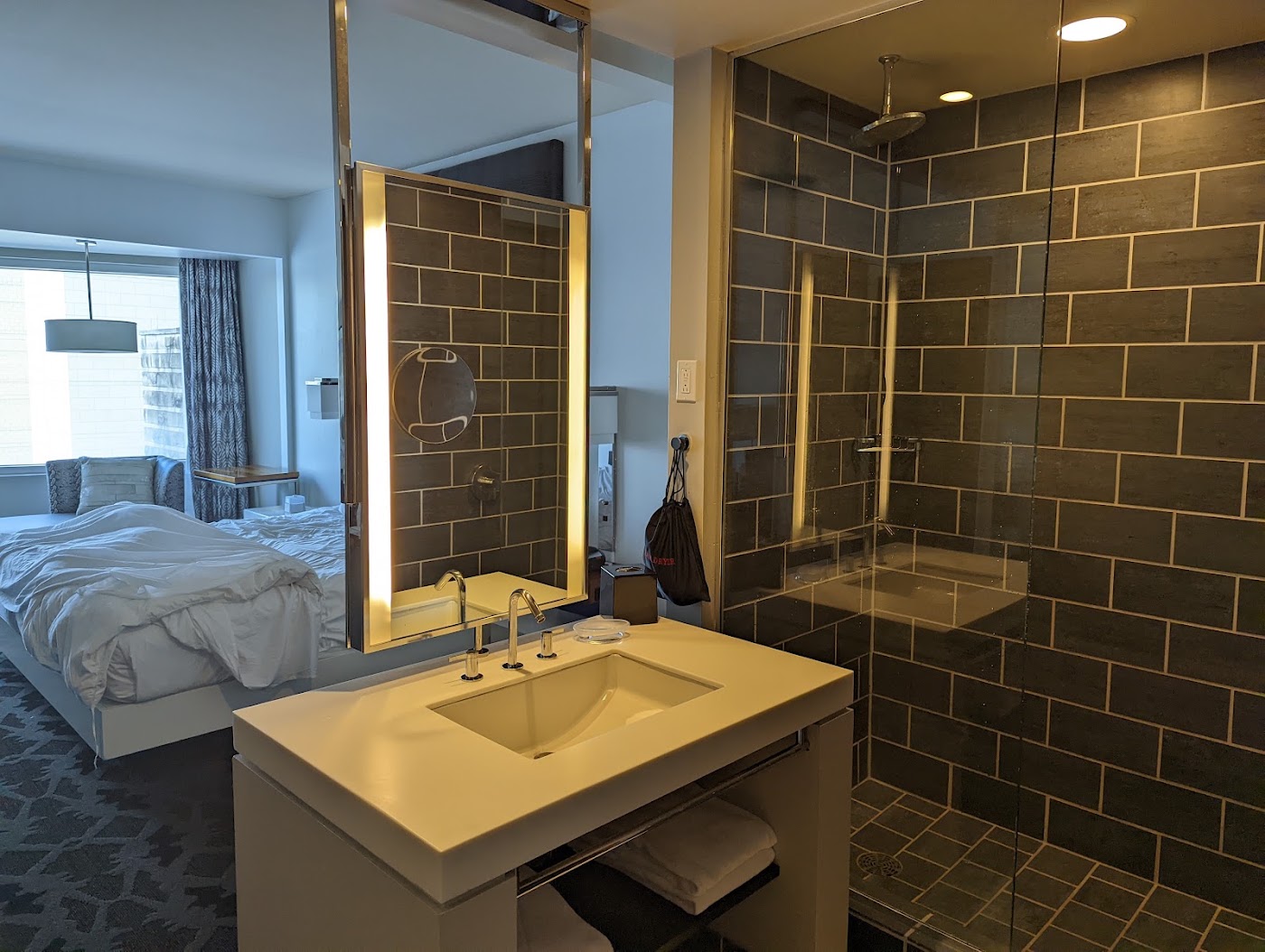 W Dallas, dog-friendly hotel, photo 5