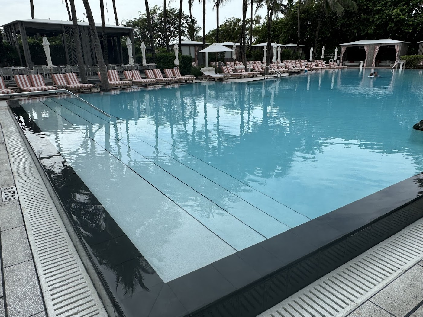 W South Beach, dog-friendly hotel, photo 3
