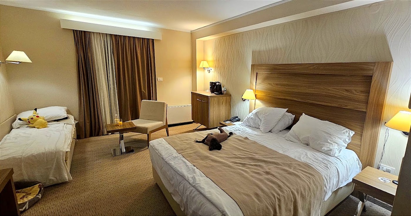 Wellness Hotel Apollo, dog-friendly hotel, photo 3