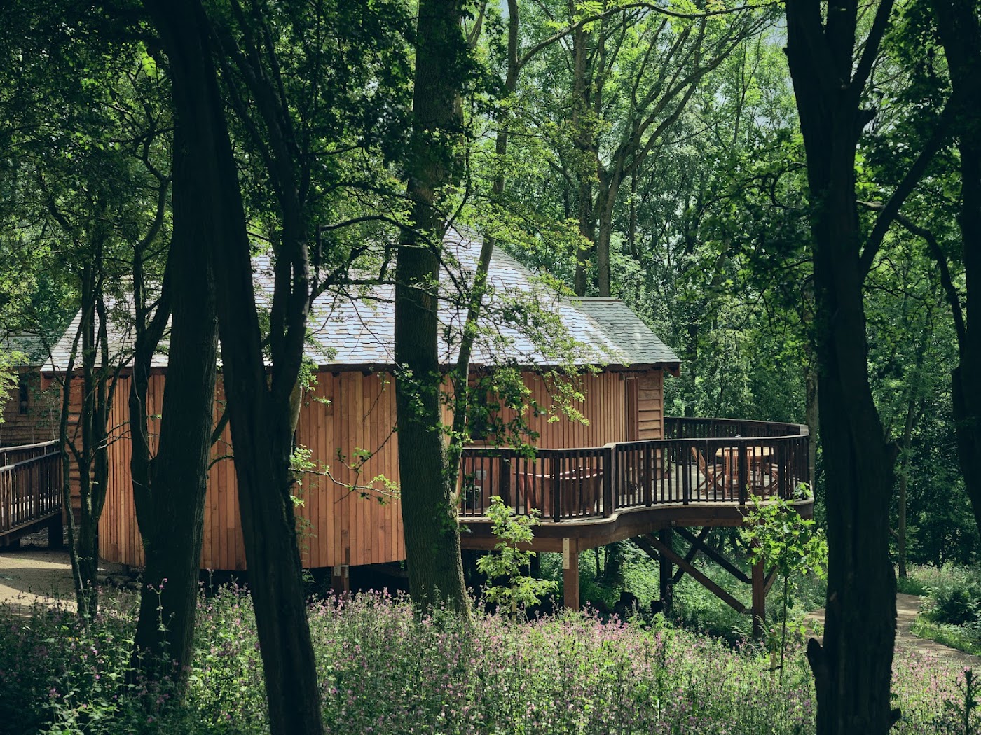 Wildhive Callow Hall, dog-friendly hotel, photo 5